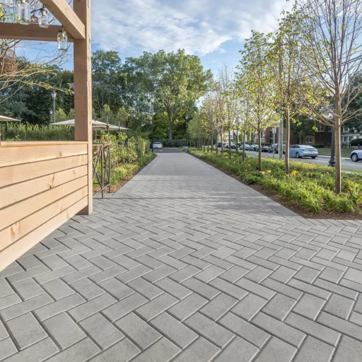 VENZA CHARBON CENDRE ASH CHARCOAL